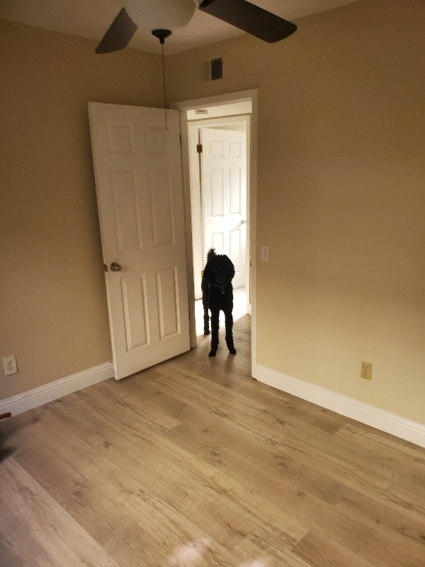 Photo - 21271 Ave Nubes