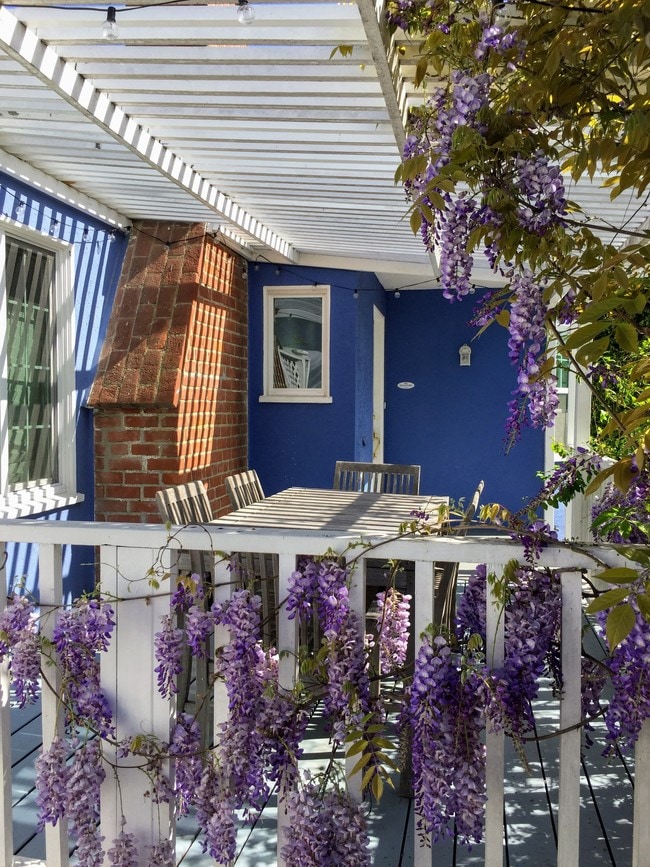 Pergola - 2457 Ashland Ave