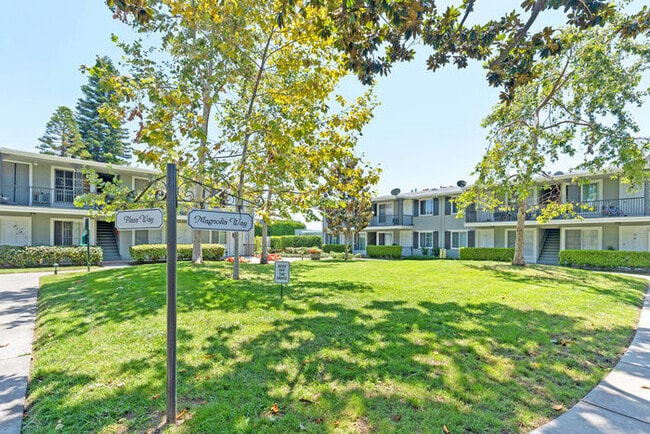 Photo - Park Magnolia Apartment Homes