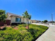 Photo - 34726 Yellow Root Ct