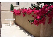 Photo - 3440 Lebon Dr