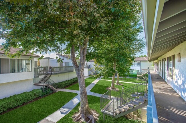 Photo - Canyon Village Apartment Homes