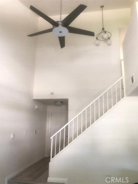 Photo - 217 E Commonwealth Ave Unit G