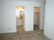 Photo - Sutter's Mill