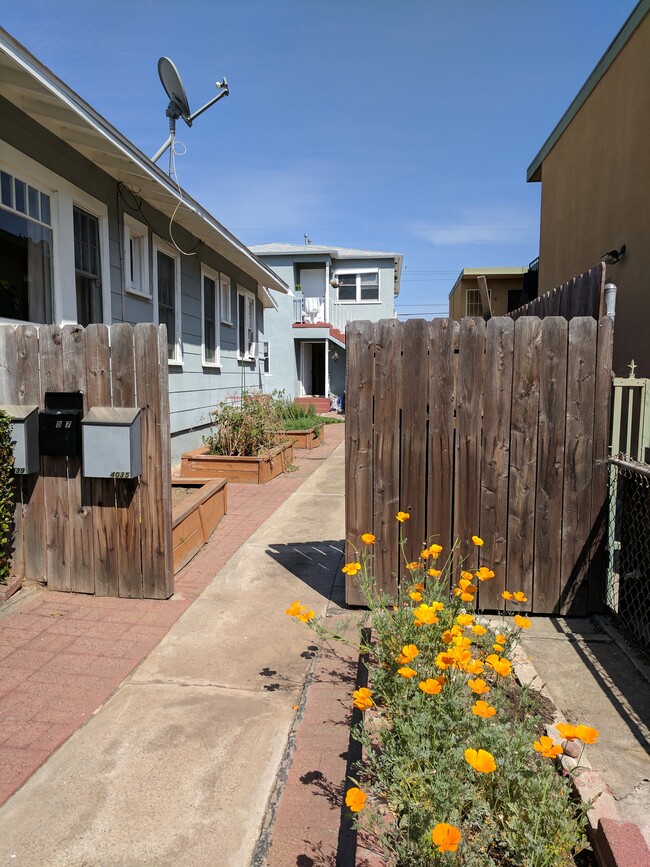 Photo - 4035 32nd St Townhome