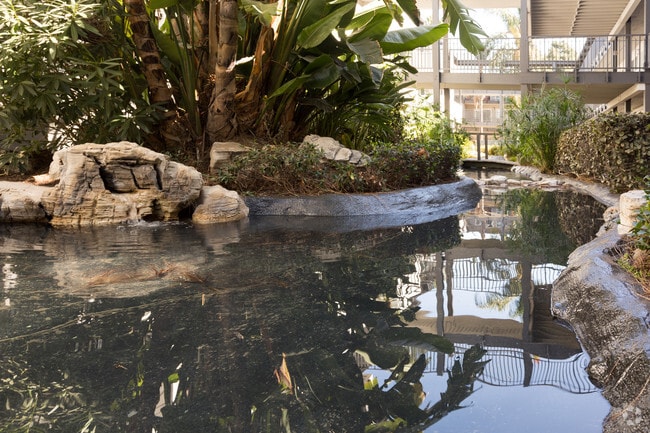 Waterfall Streams - AtWater Cove