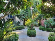 Lush landscaping creates additional privacy - 195 Avenida Descanso Unit 212