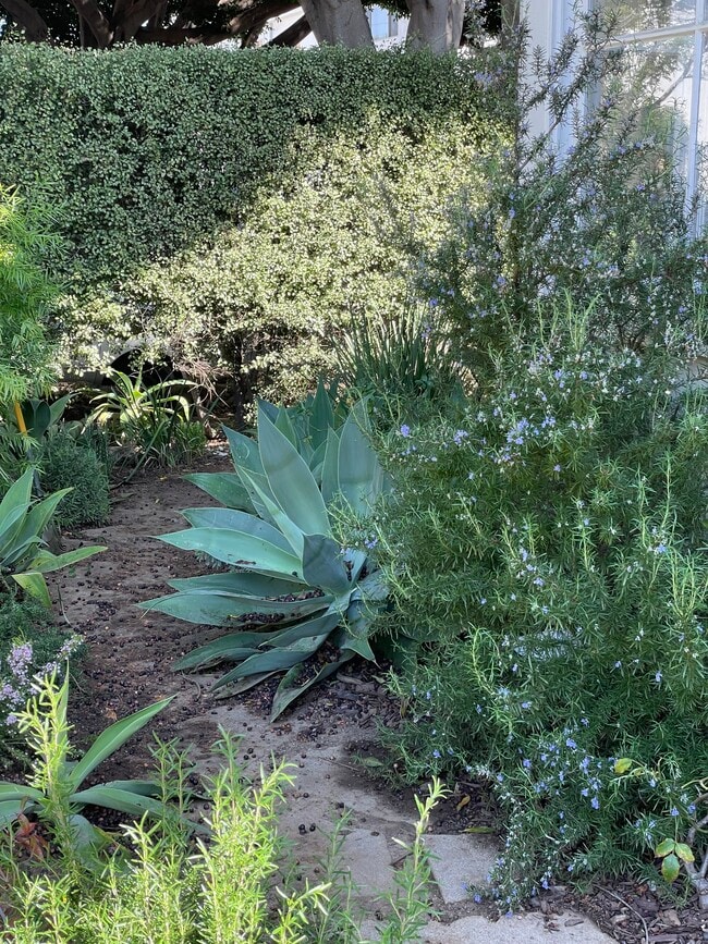 front house outdoor space - 830 20th St