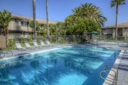 Photo - The Mediterranean Apartments