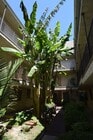 Photo - 21018 Gresham St Apartment Unit 207