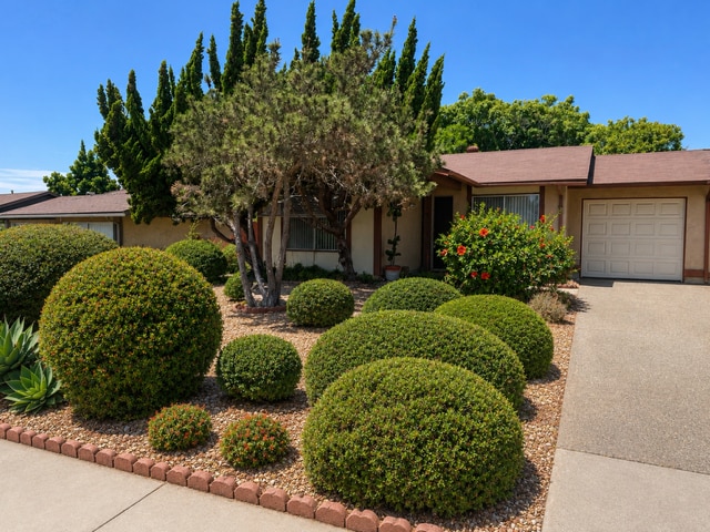 Building Photo - Oceanside's Peacock Hills