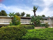 Tall giant bird of paradise serves as a beacon for the home. - 2838 Luciernaga St