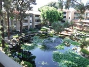 Photo - 1855 Diamond St Unit 303