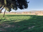 Large Back Yard - 2087 W 7th St