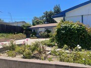 Photo - Beautiful 3 Bedroom, 2 Bathroom Home in Rancho Palos Verdes – Available in April!