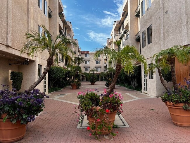 Large San Pedro Condo for Lease | 3 Bed - ... - Large San Pedro Condo for Lease | 3 Bed - ... Unit 254