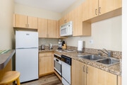 Studio - 400SF - Kitchen - Breeze Suites Moderne