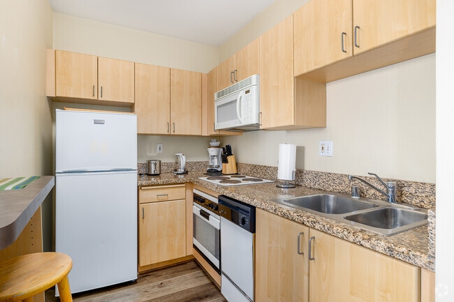 Studio - 400SF - Kitchen - Breeze Suites Moderne