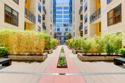 Garden entry - 1150 J St Condo Unit #205