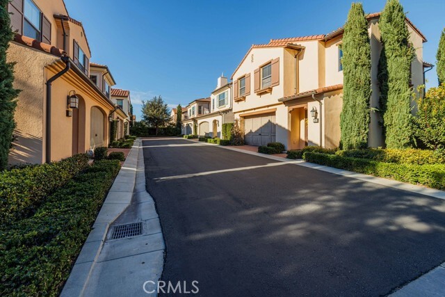 Photo - 125 Waterleaf