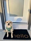 Welcome home from Rigby! - 4661 Berwick Dr