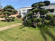 Photo - Beach House with Big Garage
