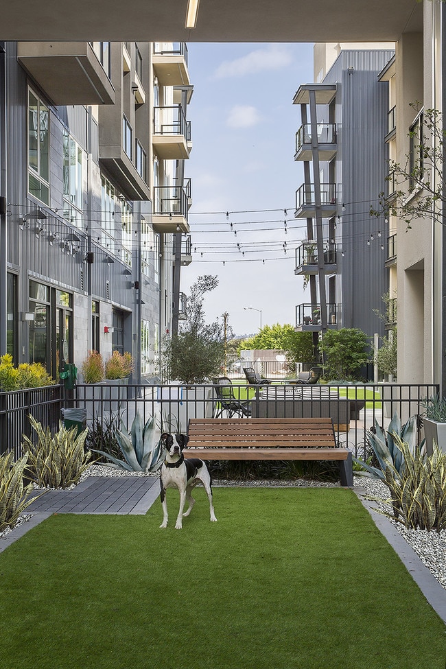 Photo - The Griffith