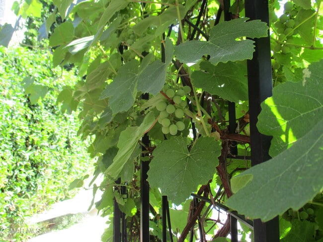 Photo - 5042 Llano Dr