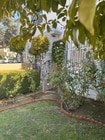 Photo - 4116-4120 Los Feliz Blvd Apartment Unit 4120.5