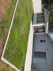 Back yard - 520 N Cambridge St House