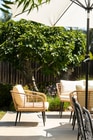 Photo - 212 Oriole St
