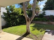 Photo - Beautiful Home