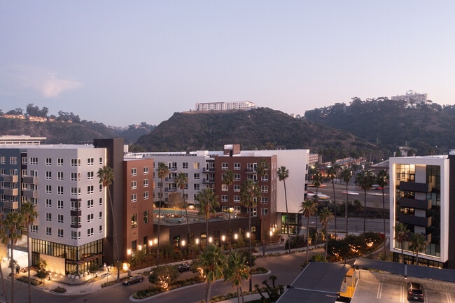 Photo - Felix at The Society