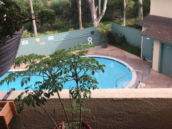 heated pool - 2609 Pico Pl Unit 218