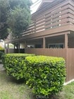 Photo - 440 W Orangewood Ave Condo Unit 440
