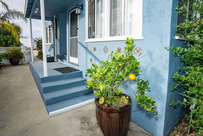 Great two bedroom, one bath beach bungalow... - Great two bedroom, one bath beach bungalow... Apartment Unit Emerald St 855