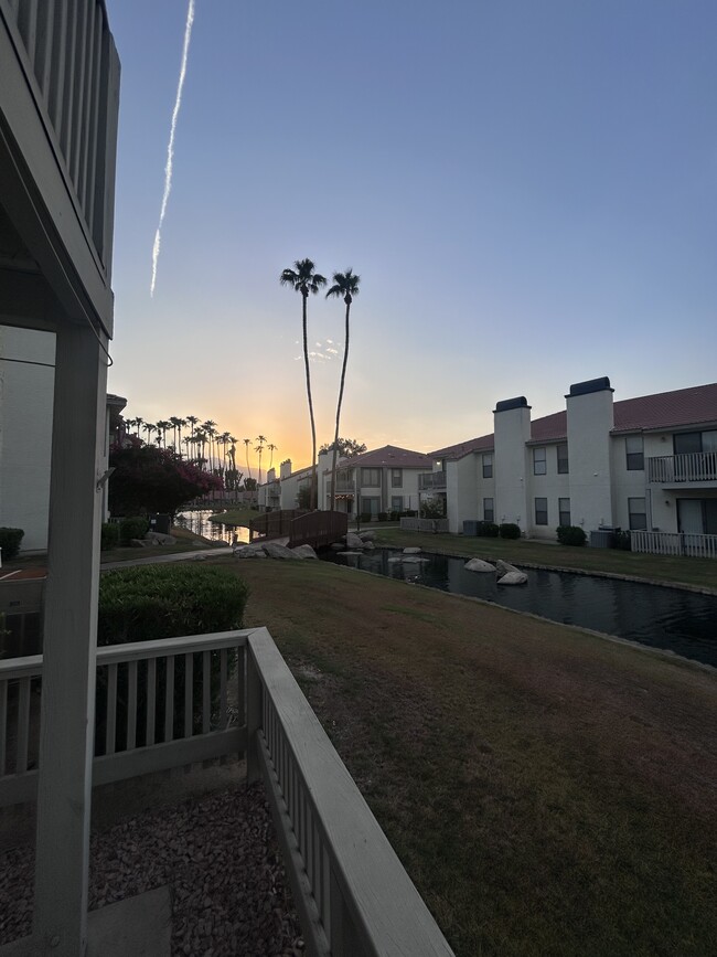 Building Photo - 43376 Cook St Unit Palm Lake  #161