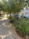Photo - 429 N Orange Grove Ave Unit 429