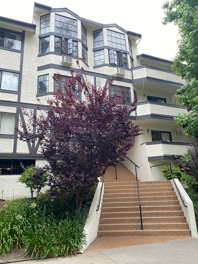 Photo - Diamond Head Apartments