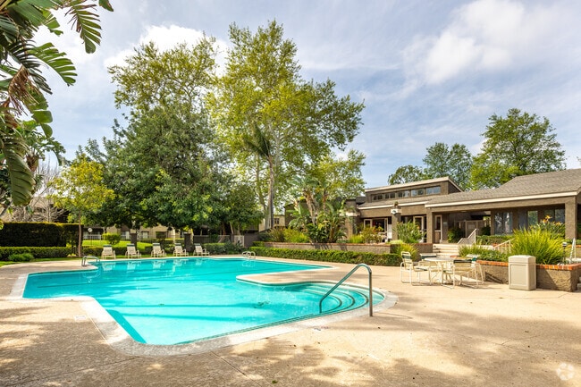 Pool and Spa - Sunrise Apartments