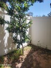 Photo - 4819 La Rosa Dr Townhome