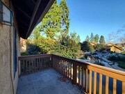 Patio View - 203 Tangelo