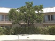 Photo - 522 E Ave Q-5 Unit 522 East Avenue Q5