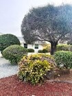 Photo - 16731 Callado Ct House