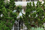building entry - 1017 2nd St Condo Unit 3rdF