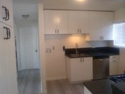 Kitchen & Hall - 1608 260th St Apartments Unit # 4
