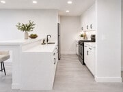 Photo - NoHo Liv Apartments