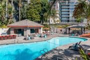 Pool - Vera Cortez Hill Apartments