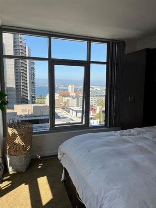 Building Photo - 425 W Beech St Unit Acqua Vista