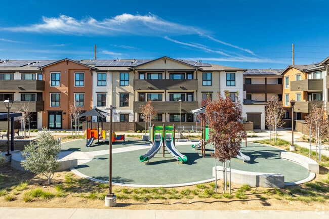 Photo - Juniper Grove